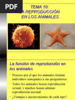 10 Reproduccion Animales