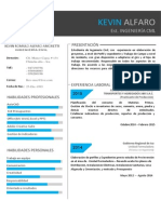 Modelo de Curriculum Vitae