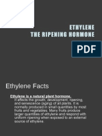 Ethylene The Ripening Hormone