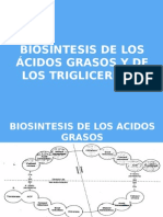 Biosintesis de Los Acidos Grasos y de Los Trigliceridos