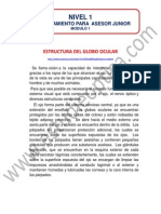 Asesor Junior Modulo 1 PDF