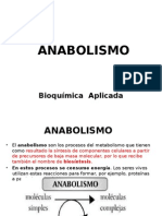 Anabolismo