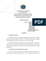 Resumen de Precipitaciones-Grupo N°3