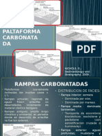 Tipos de Paltaforma Carbonatada