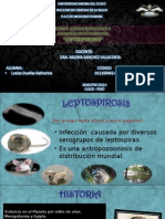 4leptospirosis 2014