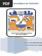 Instituto Tecnológico de Chetumal