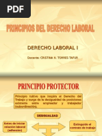 Principios Del Derecho Labooral Final