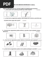 Prueba Mayo Las Plantas