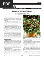 (Gardening) Growing Herbs at Home