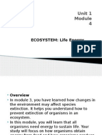 Unit 1 4: ECOSYSTEM: Life Energy