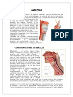 Anatomía de La Laringe