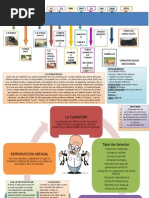 Esquema de La Clonacion ROCIO