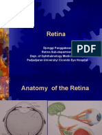 4 Retina