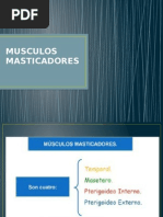 Musculos de La Cara