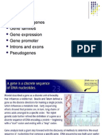 A2 Genes: Structure of Genes Gene Families Gene Expression Gene Promoter Introns and Exons Pseudogenes