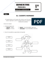 Ciencia y Ambiente 1 Grado