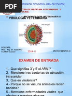 Virologia Veterinaria