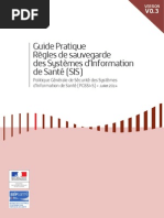 PGSSIS Guide Pratique Regles Sauvegarde V0.3