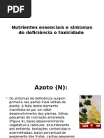 Nutrientes Essenciais e Sintomas de Deficiência e Toxicidade