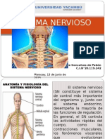 Sistema Nervioso