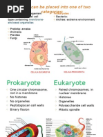 Fisiologia Microbiana Clase 1