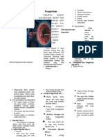 Leaflet Hepatitis