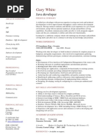 Java Developer CV Template