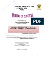 Informe de Practicas Peprofesionales