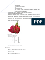 Ekstrak Buah Naga Merah Dan Carbopol