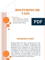 Presupuesto de Caja