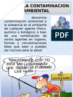 Contaminacion Ambiental