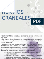 Nervios Craneales