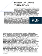 Mechanism of Urine Formations