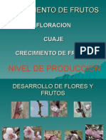 Crecimiento de Frutos