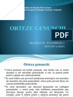 Orteze Genunchi