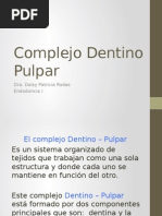 Complejo Dentino Pulpar