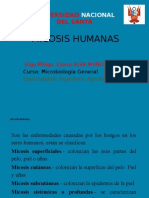 Micosis Humanas