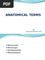 Anatomical Terms: by WWW - Ipostforyou.info