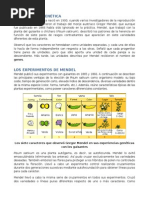 Leyes de Mendel