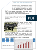 Bovino Angus - Producción Agroindustrial