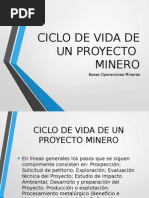 Ciclo de Vida de Un Proyecto