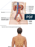 Urinary Pics A