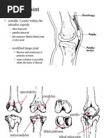 Knee Lecture