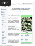 Rosa - Wikipedia, La Enciclopedia Libre