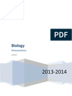 Photosynthesis PDF