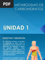 Metabolismo de Carbohidratos