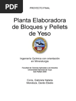 Proyecto Final Planta Elaboradora de Yeso Pelletizado y Bloques de Yeso