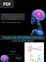 Fisiología de La Neurona y Del Microambiente Neuronal