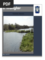 Actividades Didacticas Manglar