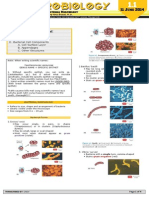 1.1 Bacterial Morphology PDF